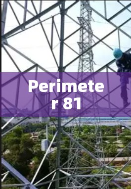 Perimeter 81 Perimeter 81