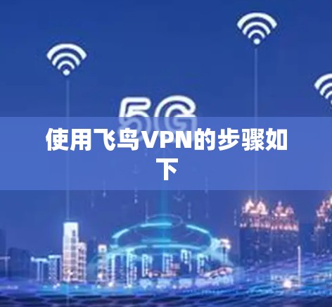 使用飞鸟VPN的步骤如下