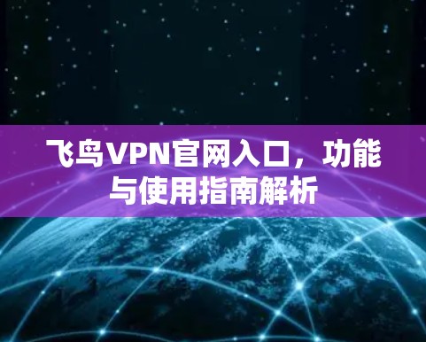 飞鸟VPN官网入口,功能与使用指南解析 飞鸟VPN官网入口,功能与使用指南解析