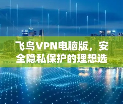 飞鸟VPN电脑版，安全隐私保护的理想选择？