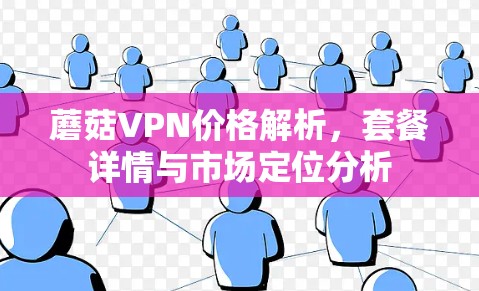 蘑菇VPN价格解析,套餐详情与市场定位分析 蘑菇VPN价格解析,套餐详情与市场定位分析