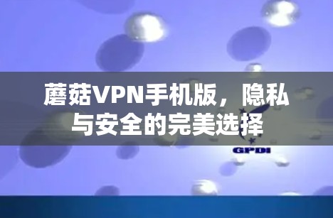 蘑菇VPN手机版,隐私与安全的完美选择 蘑菇VPN手机版,隐私与安全的完美选择