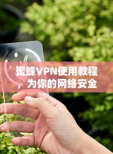 蜜蜂VPN使用教程，为你的网络安全提供坚实防护