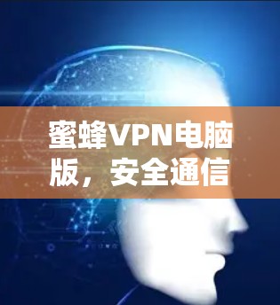 蜜蜂VPN电脑版,安全通信的新选择 蜜蜂VPN电脑版,安全通信的新选择