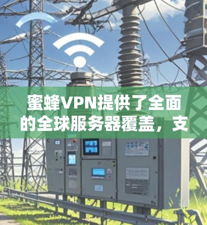 蜜蜂VPN提供了全面的全球服务器覆盖，支持多种平台，并注重隐私保护和安全性。以下是对蜜蜂VPN的详细分析和建议
