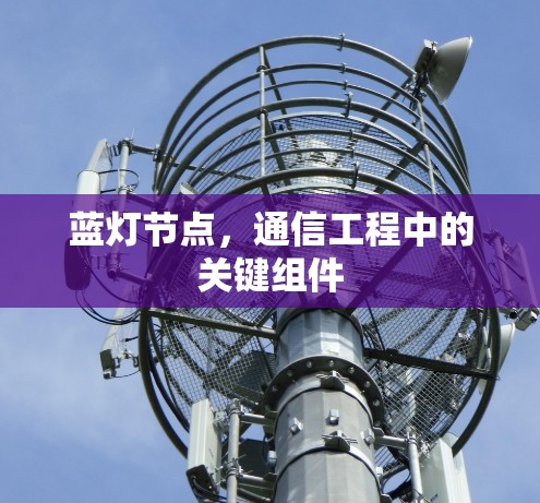 蓝灯节点,通信工程中的关键组件 蓝灯节点,通信工程中的关键组件