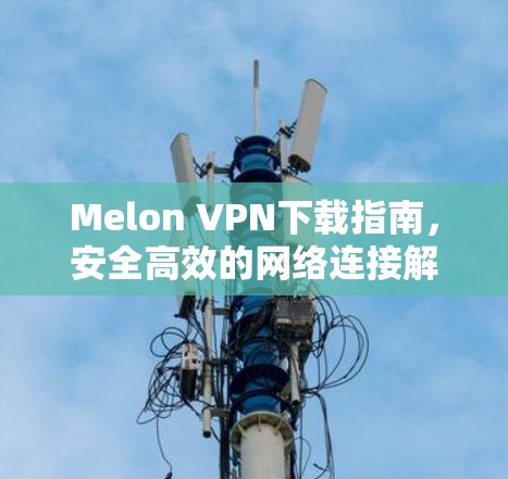 Melon VPN下载指南，安全高效的网络连接解决方案