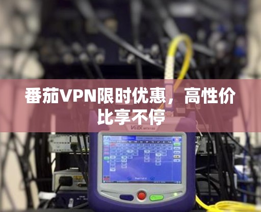 番茄VPN限时优惠，高性价比享不停