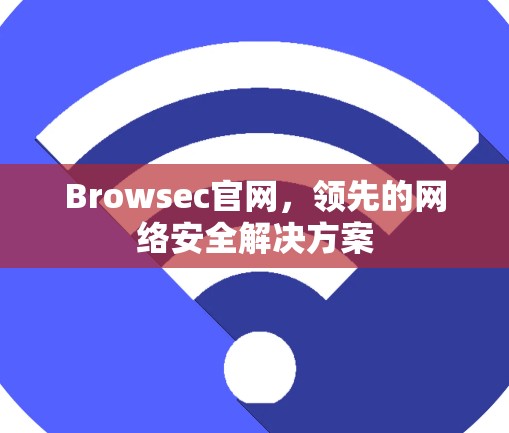 Browsec官网，领先的网络安全解决方案