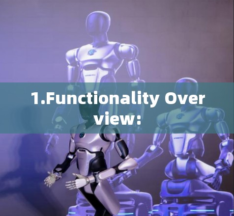 1.Functionality Overview: