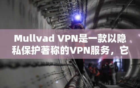 Mullvad VPN是一款以隐私保护著称的VPN服务，它经常进行更新以改进性能、增加服务器数量或更新协议。为了确保Mullvad VPN正常运行并充分利用其功能，您可以按照以下步骤进行检查和更新