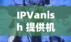 IPVanish 提供机场节点服务，主要用于在公共 Wi-Fi 环境中（如机场、会议中心等）保持高速、安全的互联网连接。以下是关于 IPVanish 机场节点的一些详细信息