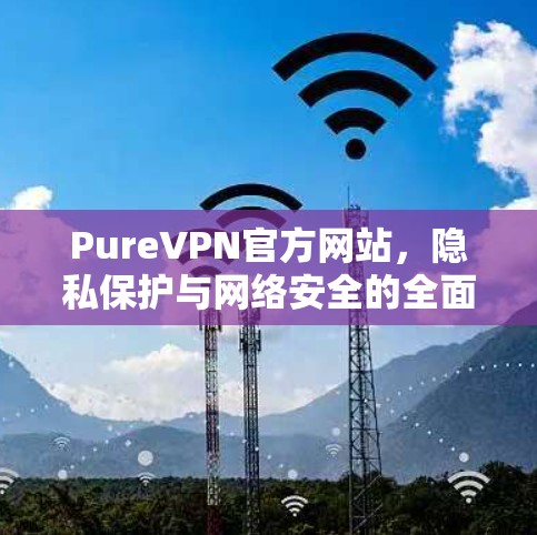 PureVPN官方网站，隐私保护与网络安全的全面解析