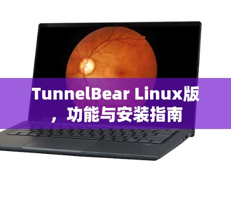 TunnelBear Linux版,功能与安装指南 TunnelBear Linux版,功能与安装指南