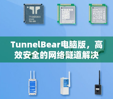 TunnelBear电脑版，高效安全的网络隧道解决方案