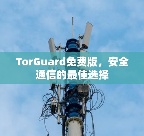 TorGuard免费版，安全通信的最佳选择