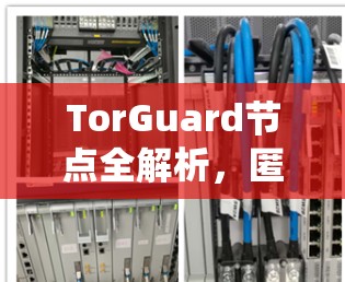 TorGuard节点全解析，匿名网络的核心支撑系统