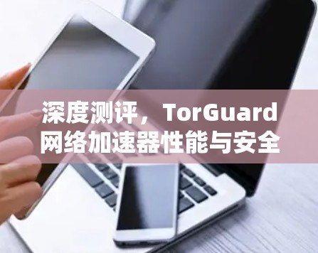 深度测评，TorGuard网络加速器性能与安全性分析
