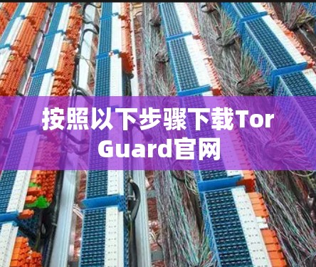 按照以下步骤下载TorGuard官网 按照以下步骤下载TorGuard官网