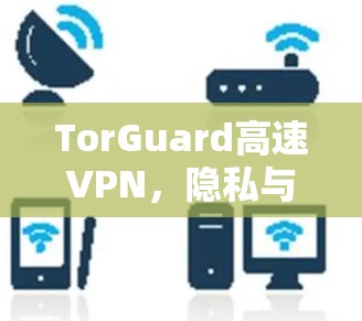 TorGuard高速VPN，隐私与安全的强大保障