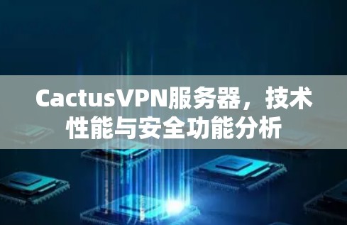 CactusVPN服务器，技术性能与安全功能分析