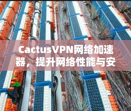 CactusVPN网络加速器，提升网络性能与安全防护