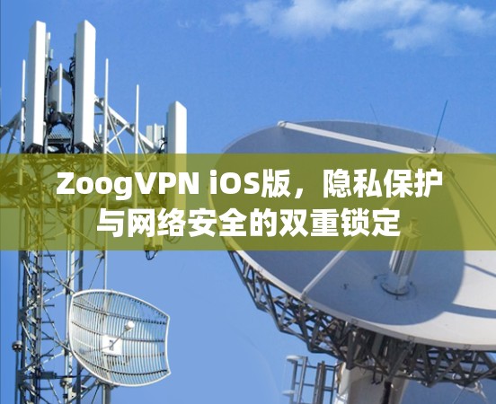 ZoogVPN iOS版,隐私保护与网络安全的双重锁定 ZoogVPN iOS版,隐私保护与网络安全的双重锁定