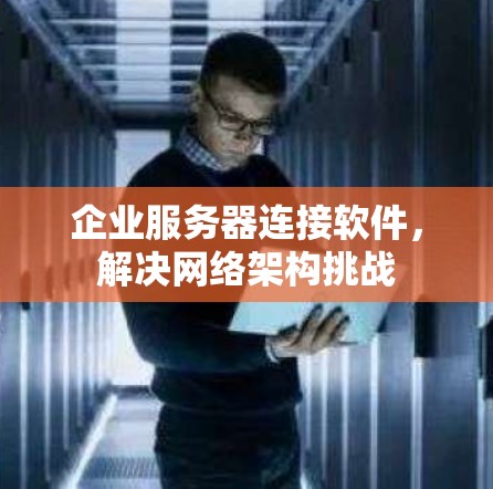 企业服务器连接软件，解决网络架构挑战