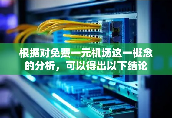 根据对免费一元机场这一概念的分析，可以得出以下结论