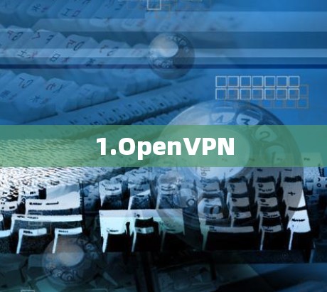 1.OpenVPN