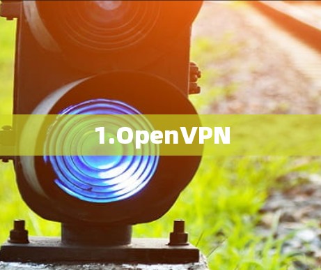 1.OpenVPN 1.OpenVPN