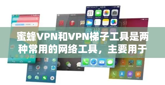 蜜蜂VPN和VPN梯子工具是两种常用的网络工具,主要用于实现网络加密、匿名访问和绕过网络限制。以下是对它们的详细介绍 蜜蜂VPN和VPN梯子工具是两种常用的网络工具,主要用于实现网络加密、匿名访问和绕过网络限制。以下是对它们的详细介绍