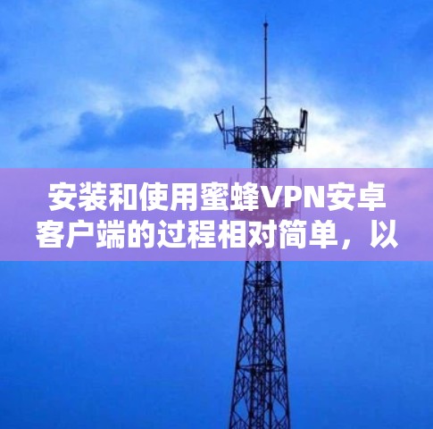 安装和使用蜜蜂VPN安卓客户端的过程相对简单，以下是详细的步骤指南