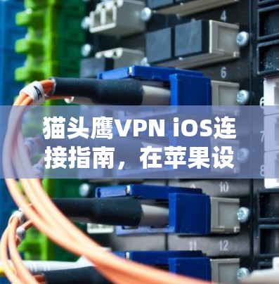 猫头鹰VPN iOS连接指南，在苹果设备上安全高效上网