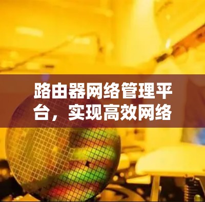 路由器网络管理平台，实现高效网络监控与管理