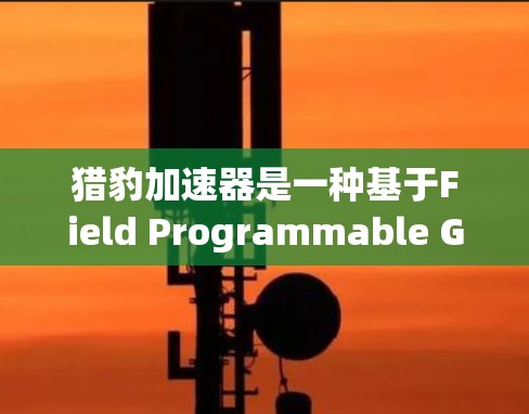 猎豹加速器是一种基于Field Programmable Gate Array FPGA)的网络加速技术，旨在优化数据中心的网络性能。以下是对猎豹加速器的详细分析和总结