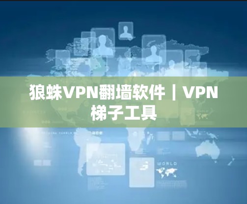 狼蛛VPN翻墙软件｜VPN梯子工具