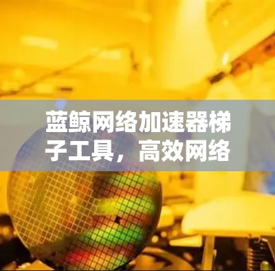 蓝鲸网络加速器梯子工具，高效网络性能解决方案