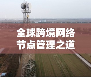 全球跨境网络节点管理之道，架构优化与维护策略