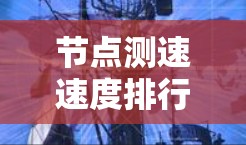节点测速速度排行分析 节点测速速度排行分析
