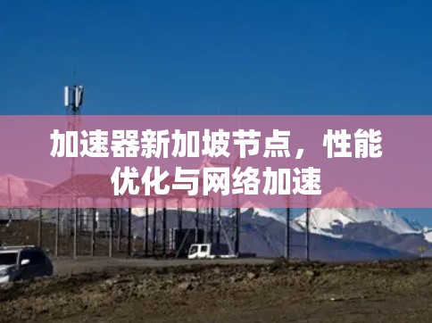 加速器新加坡节点,性能优化与网络加速 加速器新加坡节点,性能优化与网络加速