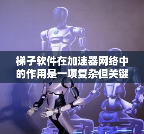 梯子软件在加速器网络中的作用是一项复杂但关键的任务，它涉及优化数据在网络中的传输效率和性能。以下是对梯子软件的详细分析