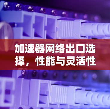 加速器网络出口选择，性能与灵活性的平衡
