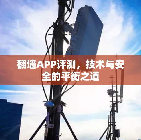 翻墙APP评测，技术与安全的平衡之道