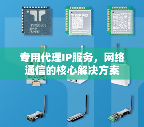 专用代理IP服务，网络通信的核心解决方案