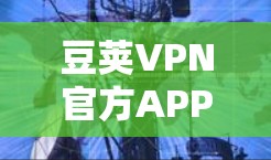 豆荚VPN官方APP最新版,安全连接,畅享互联网 豆荚VPN官方APP最新版,安全连接,畅享互联网
