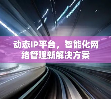 动态IP平台，智能化网络管理新解决方案