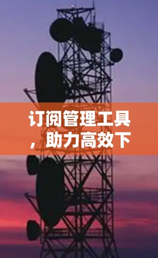 订阅管理工具,助力高效下载与管理 订阅管理工具,助力高效下载与管理