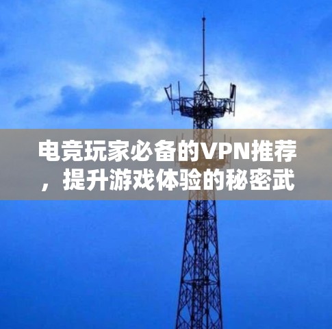 电竞玩家必备的VPN推荐，提升游戏体验的秘密武器