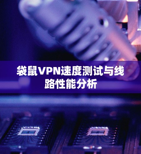 袋鼠VPN速度测试与线路性能分析 袋鼠VPN速度测试与线路性能分析